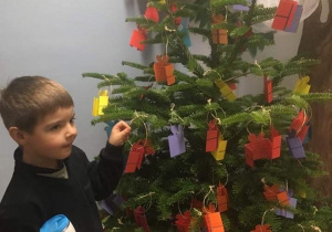 Chłopiec ściąga z drzewka "prezent" z listem prezentów dla Seniora.