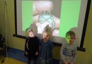 Warsztaty Szkatułka "płazy" - dzieci oglądają prezentację o żabach.