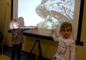 Dzieci wskazują na tablicy żaby.