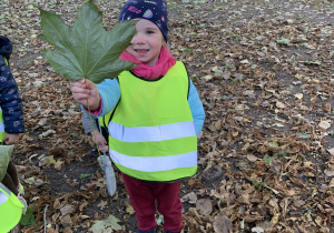 Dziewczynka pokazuje duży liść.