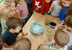 Warsztaty "Zanieczyszczenia"- dzieci sadzą dąb w słoiku.