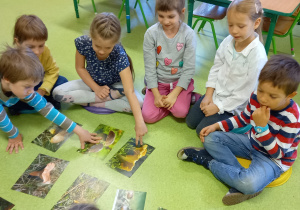 Dzieci siedzą na podłodze i oglądają atlas grzybów