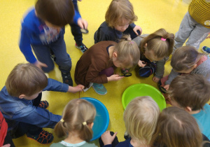 Dzieci sprawdzają w jakiej wodzie szybciej roztopi się lód.