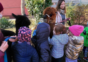 Alpakoterapia- dzieci przytulają się do alpak.