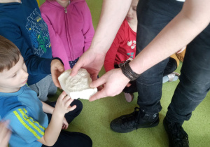 Warsztaty o dinozaurach. Dzieci dotykają prawdziwej skamieliny w kształcie muszli.