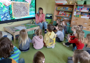 Warsztaty Fundacji Szkatułka- dzieci oglądają prezentację o komunikowaniu się zwierząt.