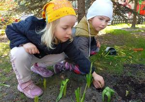 Dzieci sadzą rośliny w ogrodzie.