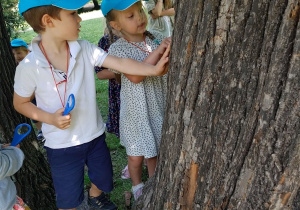 Wycieczka do Łazienek Królewskich- dzieci oglądają drzewo przez lupę.