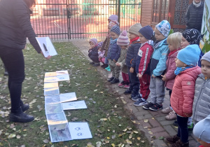 Dzieci oglądają obrazki przedstawiające ślady zwierząt w ogrodzie przedszkolnym.