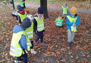 Dzieci szukają kasztanów w parku.