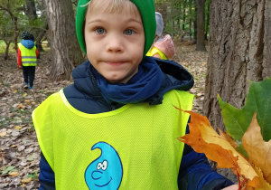 Chłopiec pokazuje bukiet jesiennych liści.