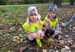 Dziewczynki szukają jesiennych skarbów.