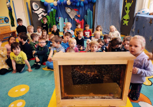 Dzieci obserwują pojemnik z pszczołami.