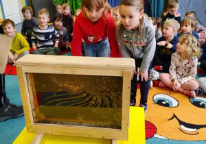Dzieci oglądają pszczoły w pudełku.