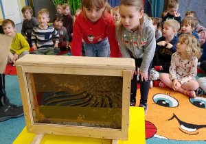 Warsztaty pszczelarskie- dzieci oglądają plaster miodu.