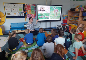 Warsztaty Fundacji Szkatułka- dzieci oglądają prezentację o dzikich zwierzętach.