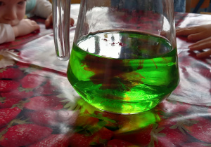 Urodziny Kropelki. eksperymenty z wodą - dzieci obserwują rozchodzenie się kolorów w wodzie.