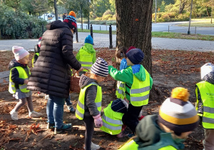 Dzieci ubrane w odblaskowe kamizelki zbierają kasztany w parku.