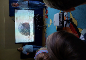 Wesoły Uniwersytet - dzieci oglądają prezentację o symbiozie.