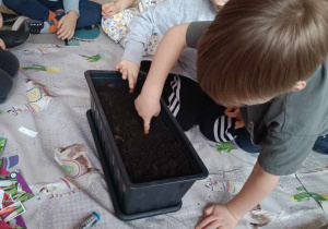 Dzieci robią w ziemi dziurki na nasionka.