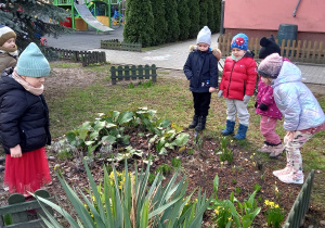 Dzieci stoją w ogrodzie przedszkolnym i przyglądają się rozkwitającym wiosennym kwiatom.