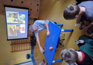 Wesoły Uniwersytet- dzieci obserwują jeża.