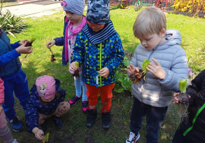 Dzieci uczą się jak sadzić rośliny do ziemi.