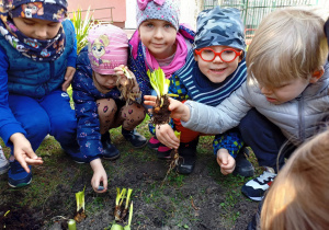 Dzieci sadzą rośliny w przedszkolnym ogródku.
